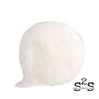 Shampoo & Conditioner Bar Set